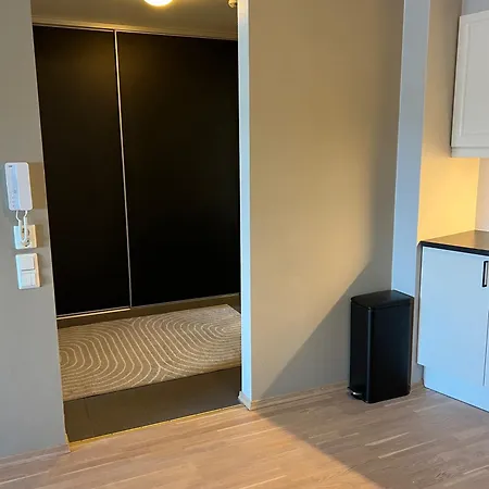 Arctic Aurora In Center Of Apartment *